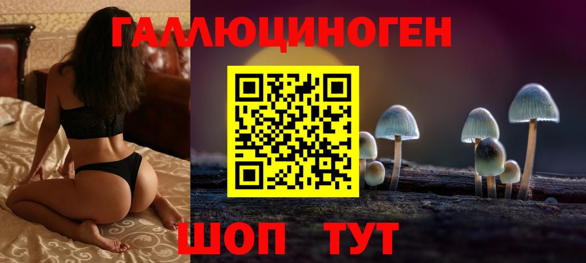Галлюциногенные грибы мухоморы Курчалой
