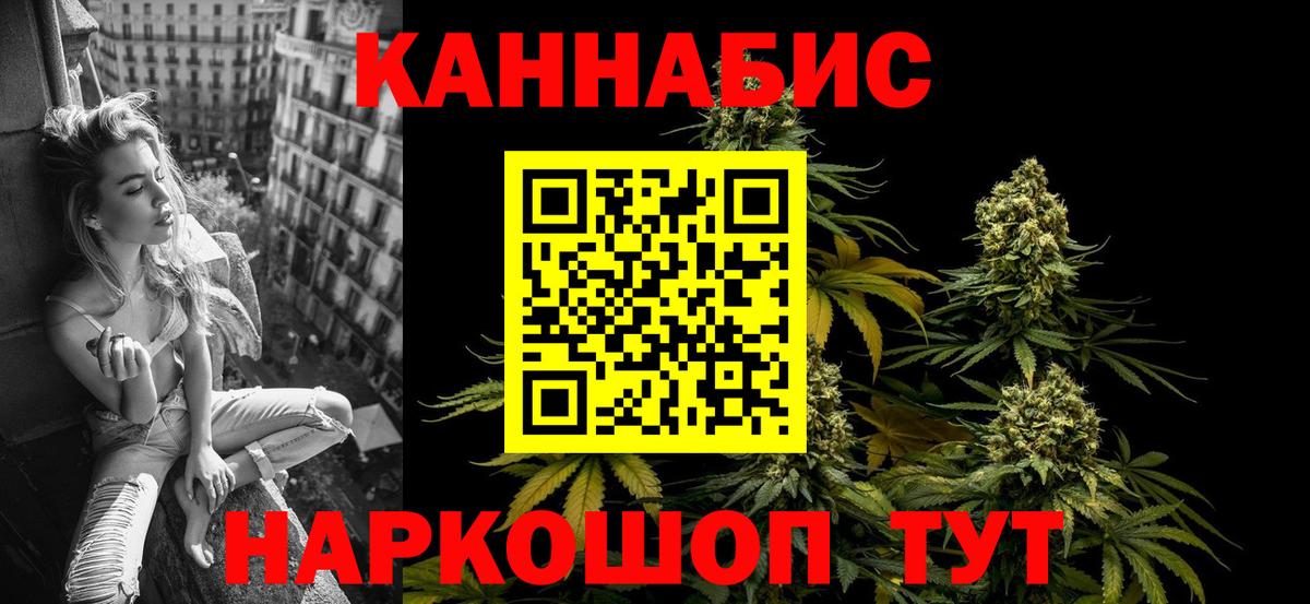 Курчалой  Бошки Шишки индика  Бошки Шишки план  Вход с VPN  Шишки марихуана гибрид 